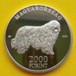 Kép 1/4 - 2020 2000 forint proof Komondor emlék érme tükörveret PP Numizmatika - Érmék, érme
