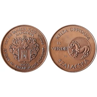 1993 MÉE Kaposvári csoport  „Kelta oppidum és verde – Szalacska / Kaposvár város 120 éve, éremgyűjtő csoport 25 éve” emlékérme