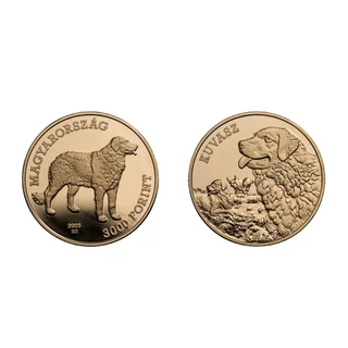 2025 3000 forint Kuvasz színesfém emlékérme PP (Proof kivitel) – A “Magyar pásztor- és vadászkutyafajták” sorozat 6. tagja