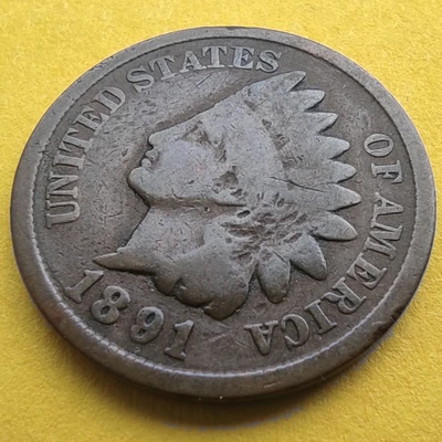 1891 1 cent Indian head