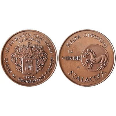 1993 MÉE Kaposvári csoport  „Kelta oppidum és verde – Szalacska / Kaposvár város 120 éve, éremgyűjtő csoport 25 éve” emlékérme