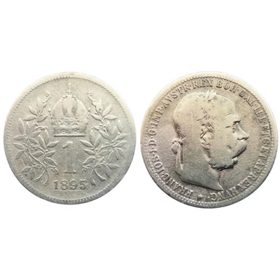 1895 1 korona ezüst érme