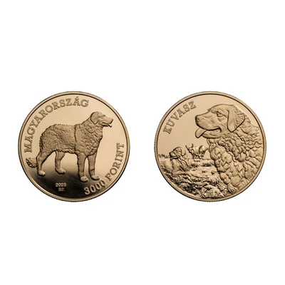 2025 3000 forint Kuvasz színesfém emlékérme PP (Proof kivitel) – A “Magyar pásztor- és vadászkutyafajták” sorozat 6. tagja