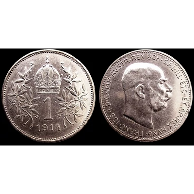 1914 1 korona ezüst érme
